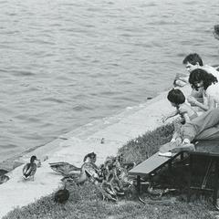 People feeding ducks