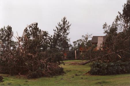 Douglas County tornado