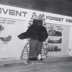 Smokey Bear display