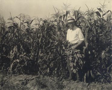 Man amidst corn