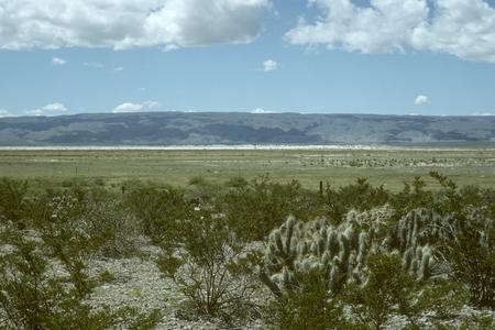 Cactus and creosote-bush desert with gypsum dunes
