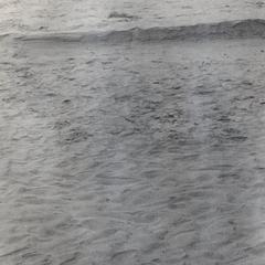 Large ripple marks in sand