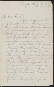 [Letter from Hanna Sternberger to her brother Karl Sternberger, July 21, 1885]