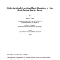 Understanding Extracellular Matrix Alterations in High Grade Serous Ovarian Cancer