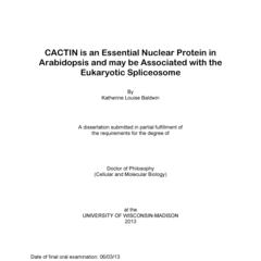 CACTIN is an Essential Nuclear Protein in Arabidopsis and may be Associated with the Eukaryotic Spliceosome