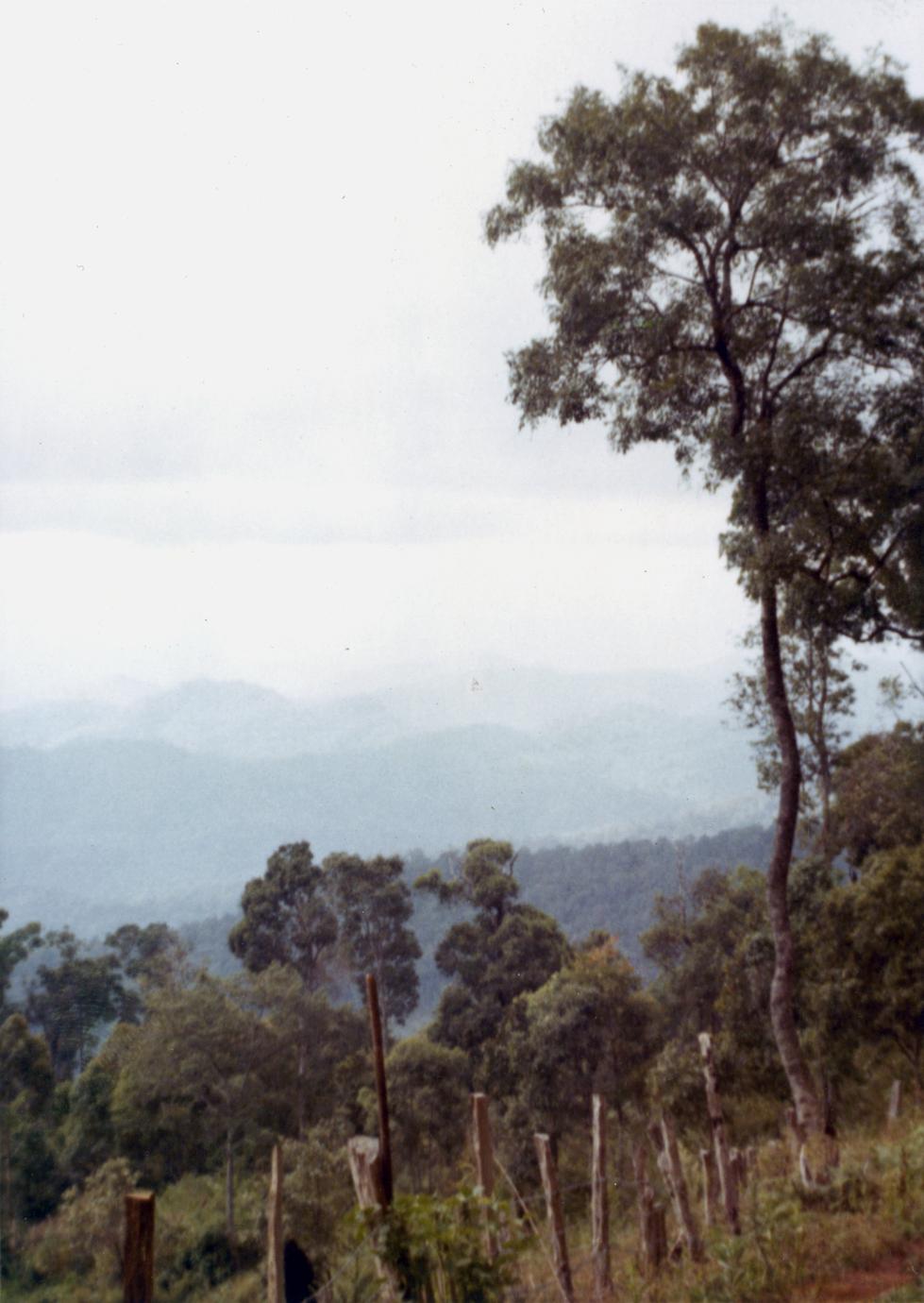 Mountain terrain in the vicinity of a Blue Hmong village in northern Thailand