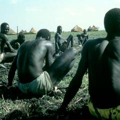 Nuer Men Preparing a Field During Early Rainy Season