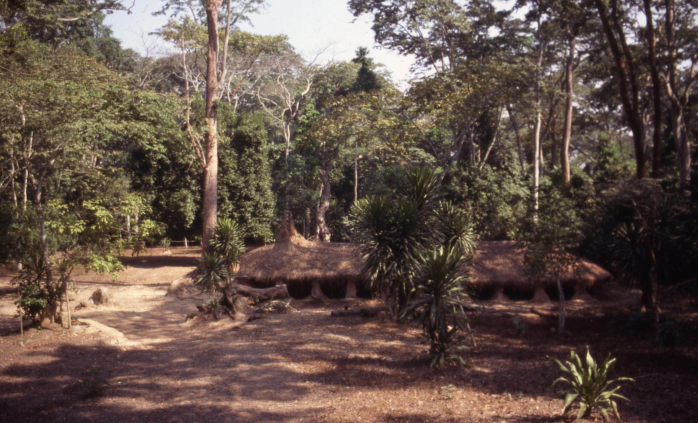 Osun Shrine among trees