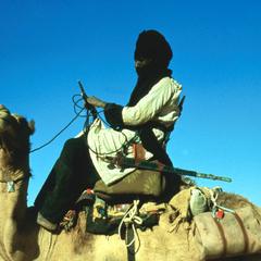 A Bouzou Man on a Camel
