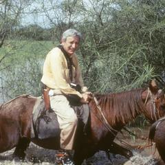 Iltis on horserack to El Rodeo