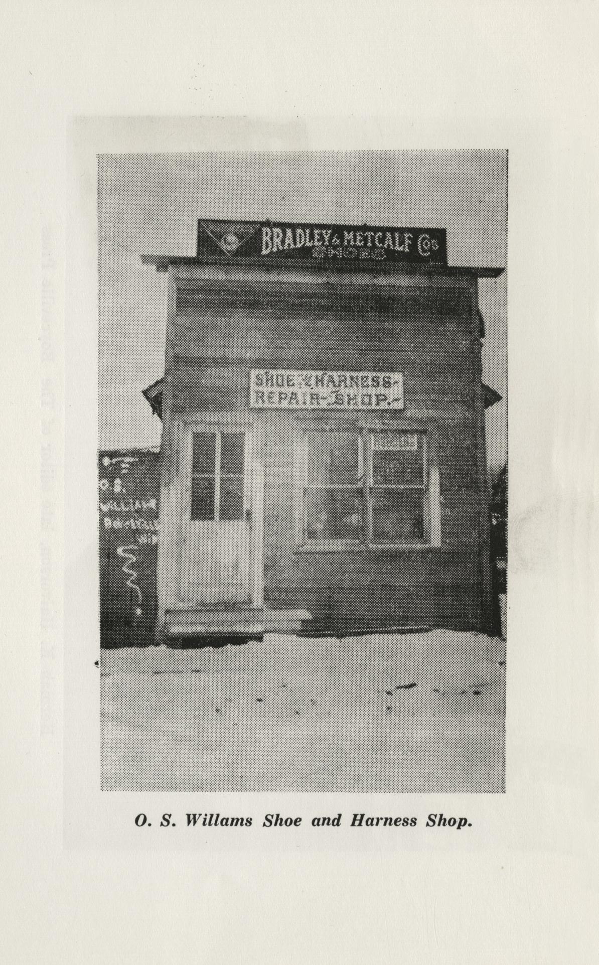 Panorama of progress the history of Boyceville, Wisconsin 18601960