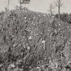 Boulder of conglomerate