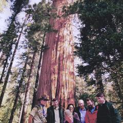 Giant Sequoia National Monument designation signing ceremony