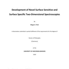 Development of Novel Surface Sensitive and Surface Specific Two-Dimensional Spectroscopies