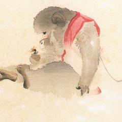 Monkey Watercolor