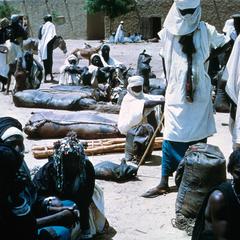 A Periodic Market in Niger