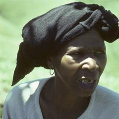 Nongenile Masithathu Zenani, performing