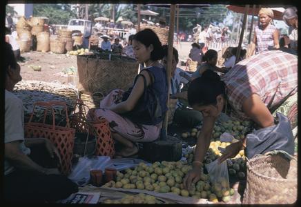 Morning Market : oranges