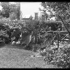 Garden and bridge