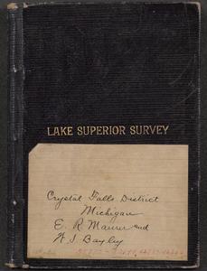 Crystall Falls district, Michigan : [specimens] 32132-32199, 32787-32850