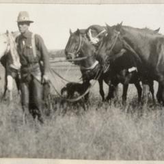 Walking horses in the Gila Wilderness, November 1927