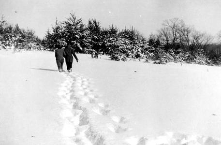 Couple walking toward pines on Sand Hill