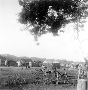 View of a Kuba-Bushong Village