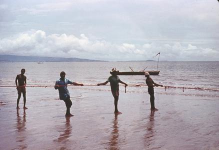 Pulling in Fish Nets at Mahera Beach North of Freetown