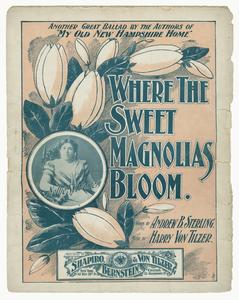 Where the sweet magnolias bloom