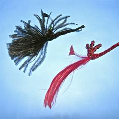 Two feather and bug ornaments