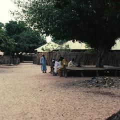 Raised Platform (Bantaba) for Seating Under a Shade Tree