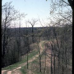 Parnell esker, North Kettle Moraine State Forest