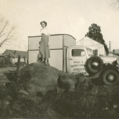 Woman standing on elephant