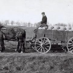 Wagon full of clover seed