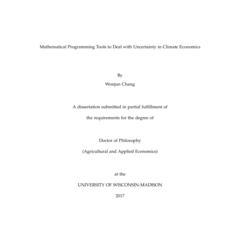 Mathematical Programming Tools to Deal with Uncertainty in Climate Economics