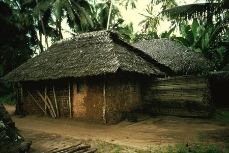 Thatched House in Rural Zanzibar