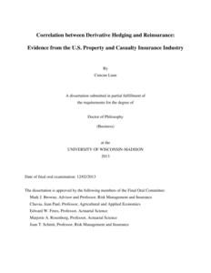 Correlation between Derivative Hedging and Reinsurance: Evidence from the U.S. Property and Casualty Insurance Industry