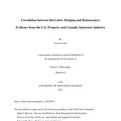 Correlation between Derivative Hedging and Reinsurance: Evidence from the U.S. Property and Casualty Insurance Industry