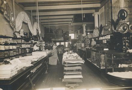 Levitan and Stuessy store