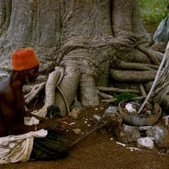 Earth Priest Making Offering Under a Baobab Tree