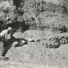 Barnes examining distorted gravel