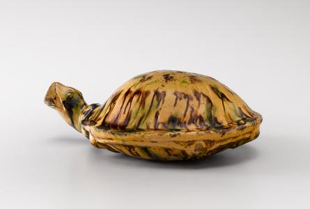 Turtle bottle