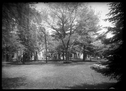 Kemper Hall grounds with seat around tree