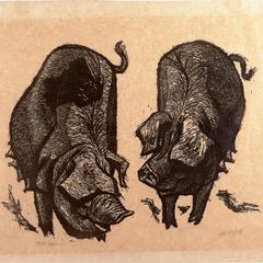 Two Sows
