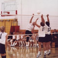Volleyball player goes for the point