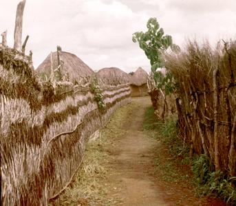 Lane in Village of Kaladai