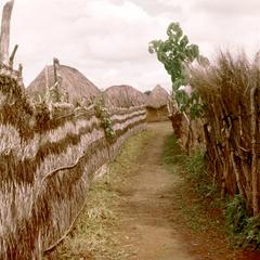 Lane in Village of Kaladai
