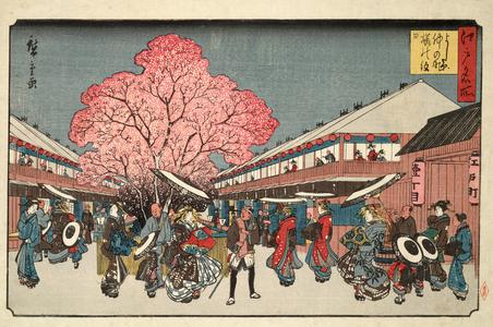 Procession Past the Cherry Trees at Nakanocho in the Yoshiwara, from the series Famous Places in Edo
