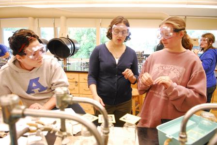 Amanda Hakemian chemistry class, University of Wisconsin--Marshfield/Wood County, 2010