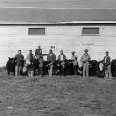 Cows, 1956 Wisconsin Livestock Breeders Association Show